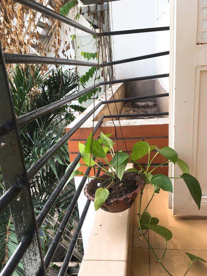 הו צ'י מין סיטי Drop By Saigon Guesthouse מראה חיצוני תמונה